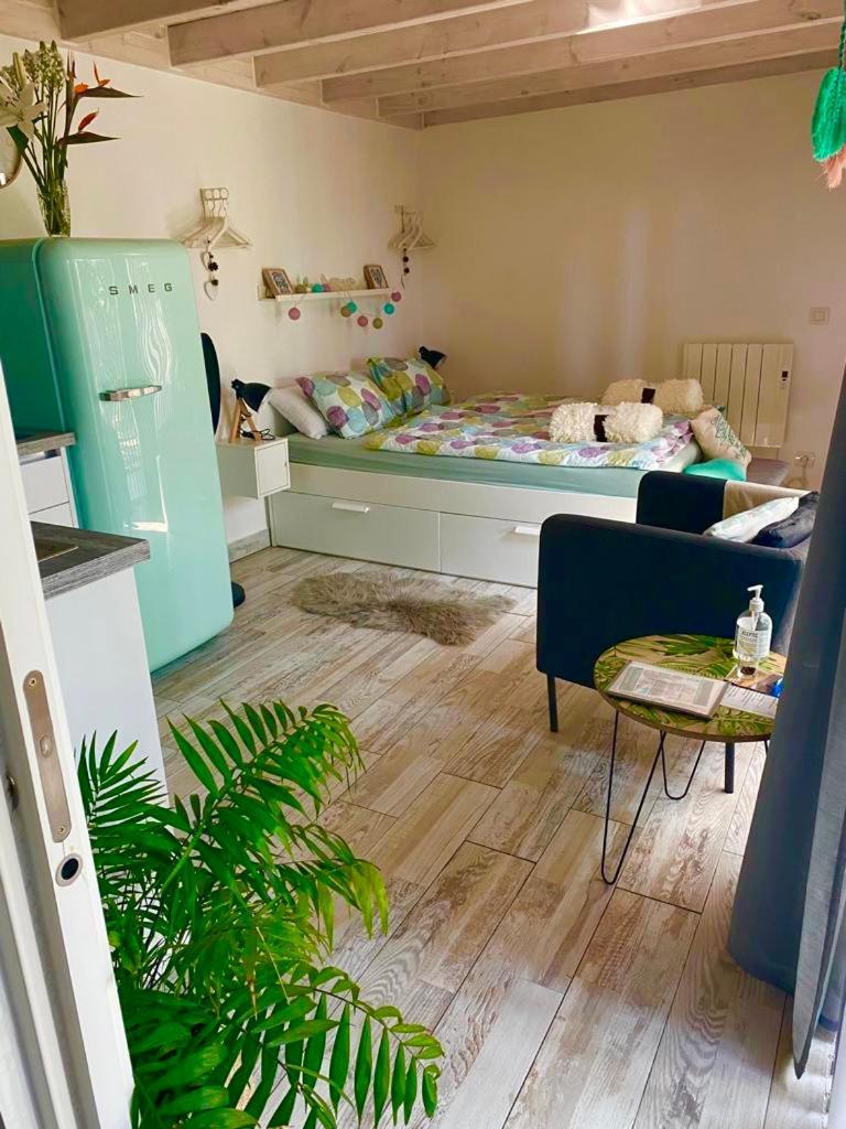 Apartment Estudio Lissy *